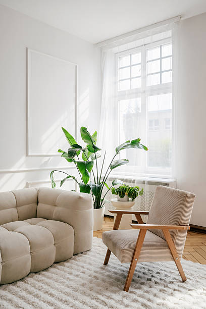 istockphoto 2214757316 612x612